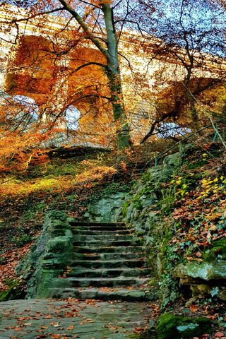 Pathway to Renewal 🌳✨