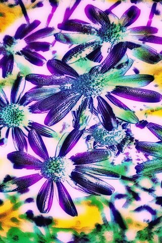 Phoneky تصميم ناقلات الزهور والفراشات 4k خلفيات
