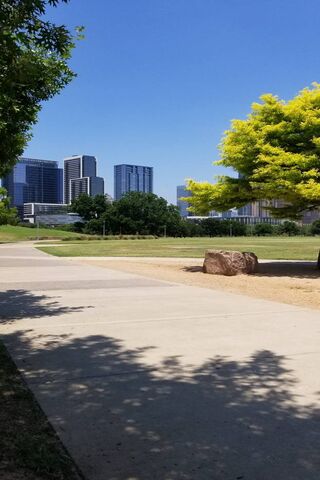 Austin's Urban Oasis 🌳🏙️