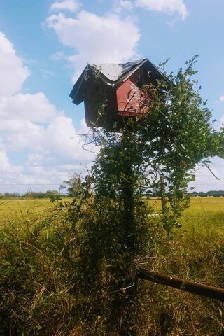 Charming Country Retreat for Feathered Friends 🐦🏡