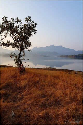 Serenity of Mother Nature 🌅🌳