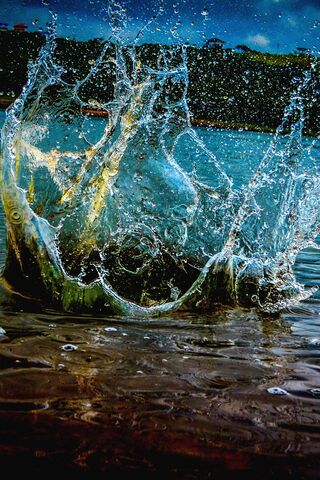 Dancing Drops: The Art of Water