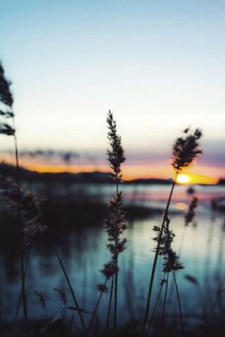 Lago: Serenity at Dusk 🌅