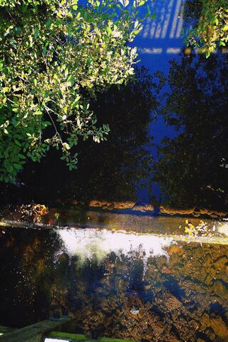Magical Stream