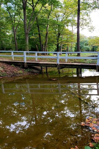 Crossing Nature's Divide 🌳🌊