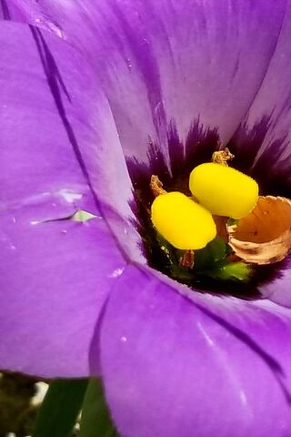 A Glimpse of Beauty Beyond