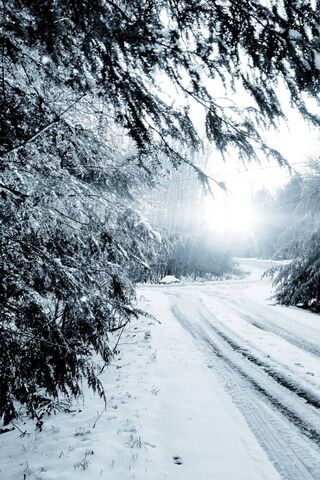 Chill of Dawn: A Winter Awakening ❄️🌅