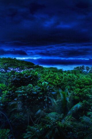 Mystical Twilight: Natu..