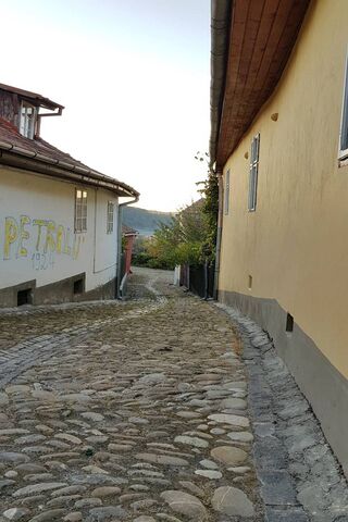 Charming Cobblestones of Old Street 🏡✨