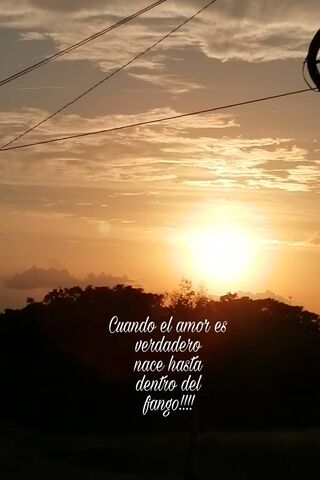 Love's Resilience: A Sunset Reflection 🌅❤️