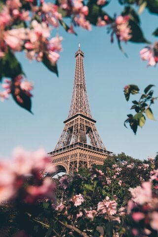 Eiffel Dreams: A Floral Frame