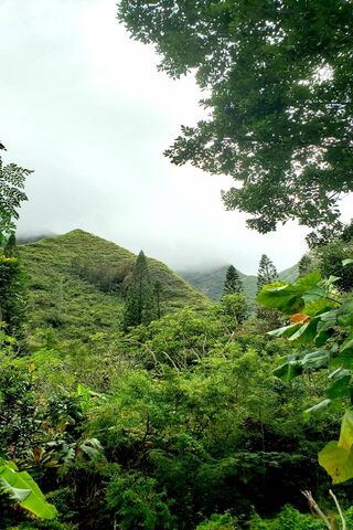 Iao Vally Maui