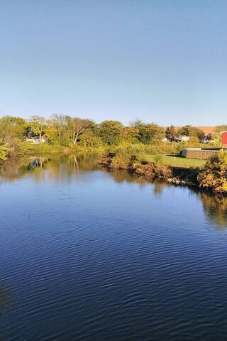 Serene Reflections of Nature 🌳💧