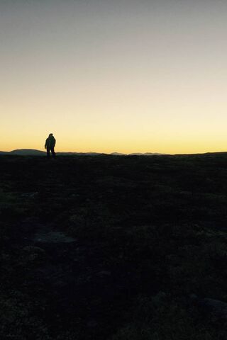 Golden Horizon: A Moment of Reflection 🌅