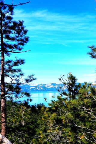 Serenity of Tahoe Blue 🌊🌲