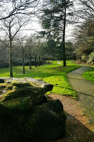Serenity in Nature: A 4K Escape 🌳✨