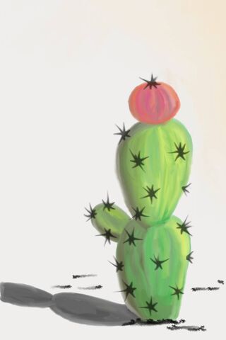 Cacti Delight: Nature's Quirky Sculptures 🌵✨