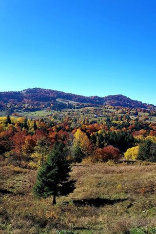 Autumn's Embrace: A Vibrant Oktober Landscape 🍂🌄