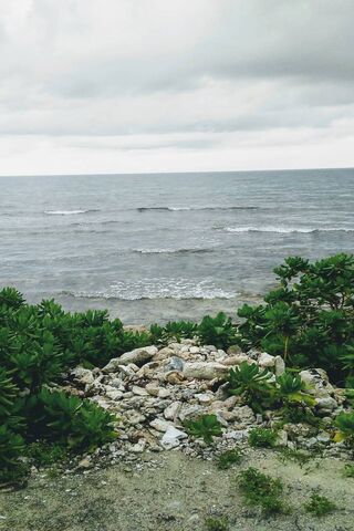 Tranquil Shores of Mexico Beach 🌊🌴