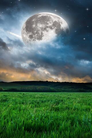 Moonlit Dreams 🌙✨