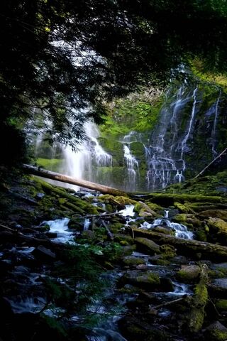 Oregon Summer
