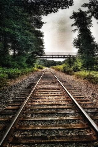 Journey on the Rails: A Path to Adventure 🚂🌲