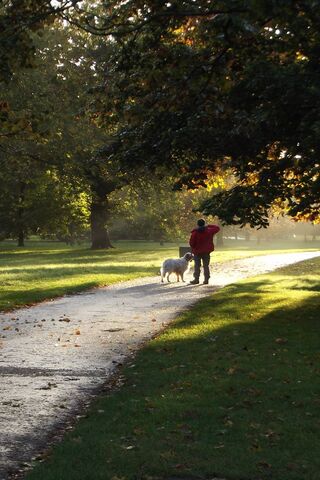 Morning Stroll in Hyde Park 🌳🐾