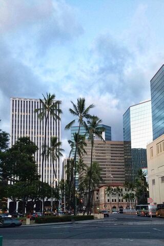 Urban Oasis: A Glimpse of City Life 🌆🌴