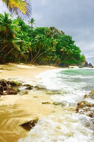 Tropical Paradise Awaits 🌴🌊