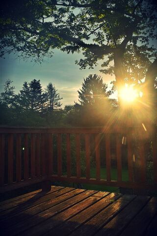 Golden Hour Serenity 🌅