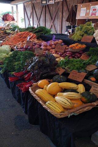 Fresh Finds at the Farmers Market 🌽🥕