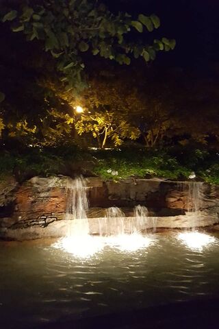 Serenity at Downtown DLR Pond 🌙💧