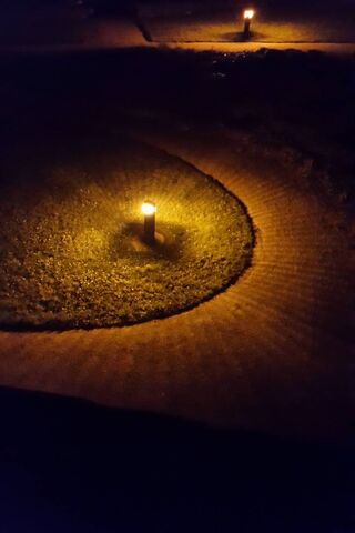 Illuminated Pathways: A Journey Through Light