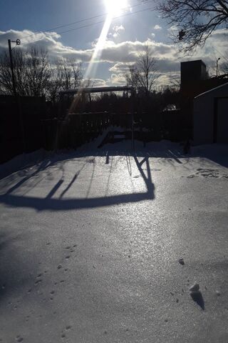 Winter Wonderland in the Backyard ❄️🌞