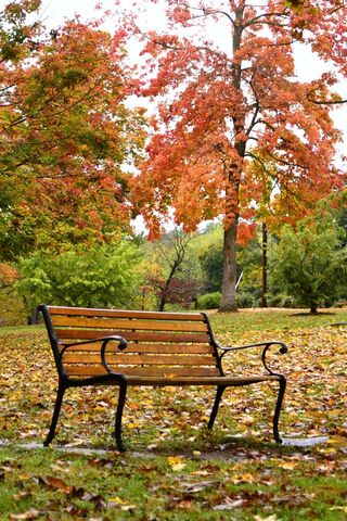 Autumn Park Bench Wallpaper - Download to your mobile from PHONEKY