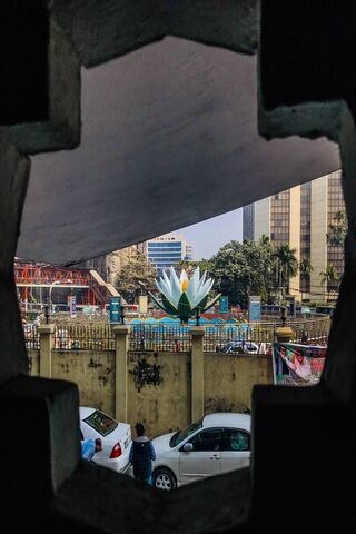 Lotus of Motijheel: A Symbol of Dhaka's Heart 🌸