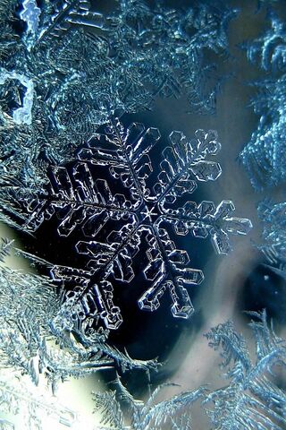 Winter's Crystal Artistry ❄️✨