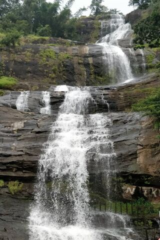 Nature's Cascade: The Majestic Waterfall
