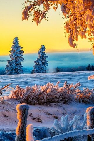 Winter Hd