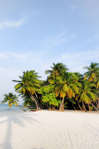 Tropical Paradise: A Slice of Heaven 🌴☀️