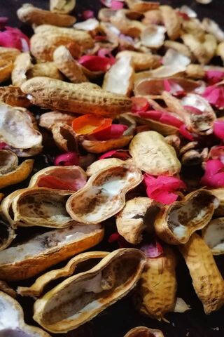 Nature's Colorful Confetti: Peanut Trash 🎉