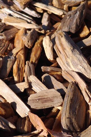 Nature's Mulch: The Beauty of Wood Chips 🌳✨