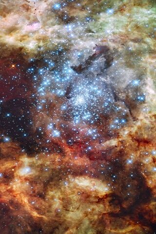 Cosmic Cradle: The Stellar Nursery R136 🌌✨