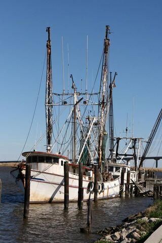 Shrimp Boat