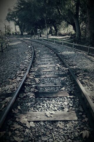 Journey Through Time: The Forgotten Tracks