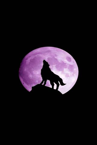 Lunar Howl: The Spirit of the Wolf 🌕🐺
