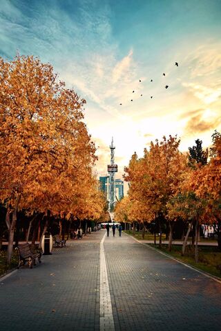 Autumn Serenity in Baku 🍂✨