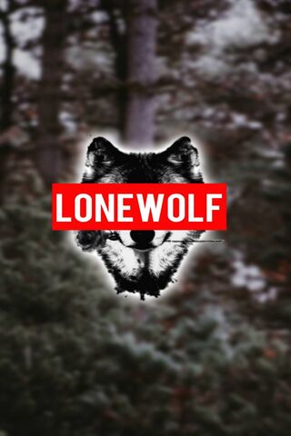 Linh hồn của Sói đơn độc 🐺✨