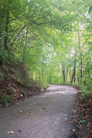 Nature Hike