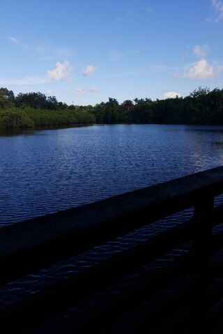 Tranquil Reflections: Nature's Embrace 🌳💧